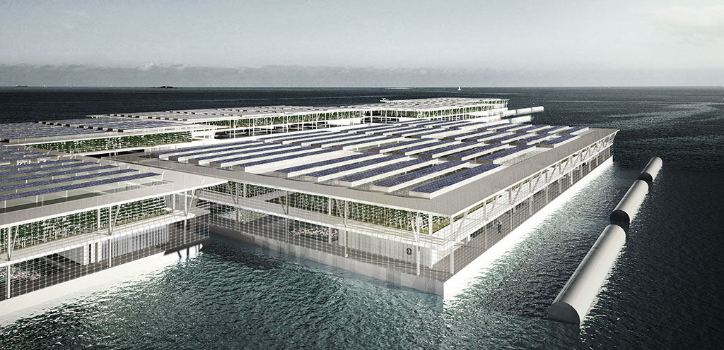 floating-solar-farm